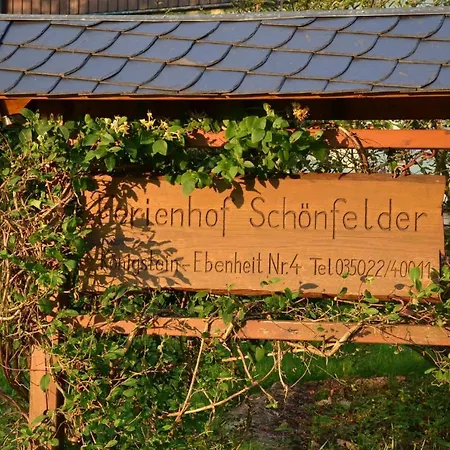 Schoenfelder