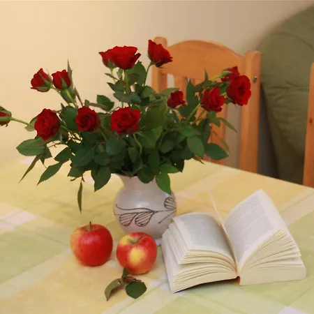 דירה Schoenfelder *