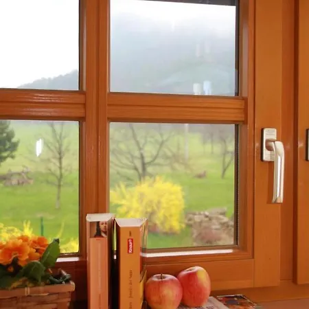 Schoenfelder דירה *