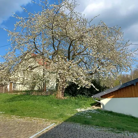 Schoenfelder * Königstein an der Elbe