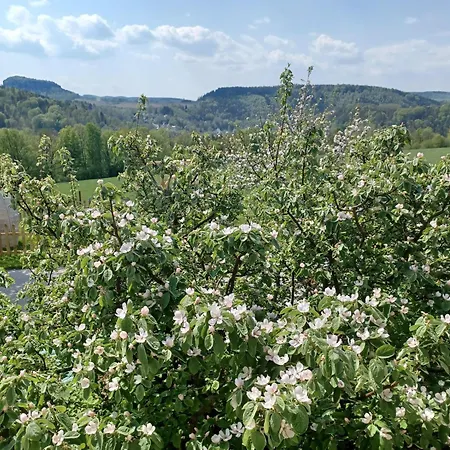 Apartament Schoenfelder Königstein an der Elbe